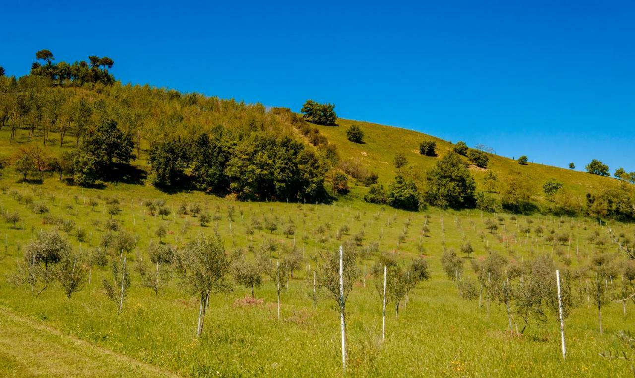La Quercia - BolognaRooms Sasso Marconi Esterno foto